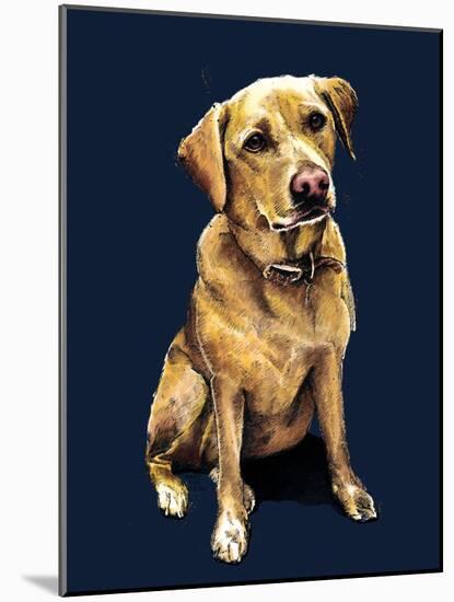 Daisy the Labrador on Midnight Blue, 2020, (Pen and Ink)-Mike Davis-Mounted Giclee Print