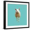 Daisy-Linda Wood-Framed Giclee Print