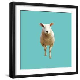 Daisy-Linda Wood-Framed Giclee Print