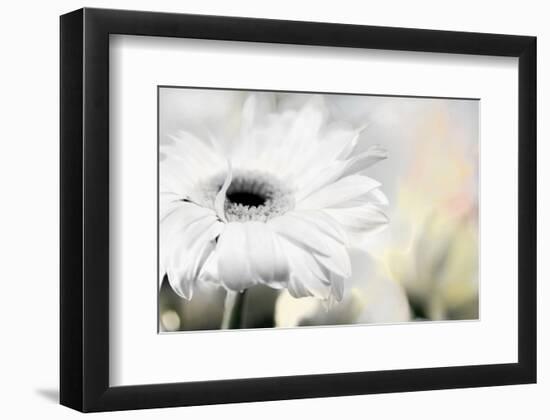 Daisy-Karin Connolly-Framed Art Print