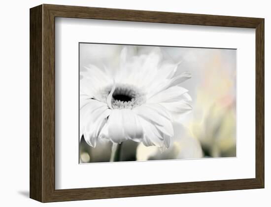 Daisy-Karin Connolly-Framed Art Print