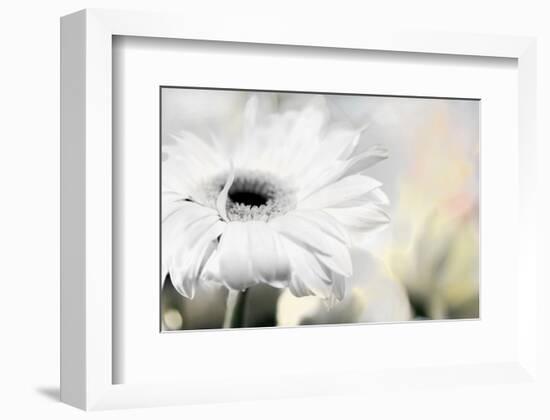 Daisy-Karin Connolly-Framed Art Print