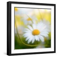 Daisy-Philippe Sainte-Laudy-Framed Photographic Print