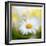 Daisy-Philippe Sainte-Laudy-Framed Photographic Print