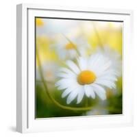 Daisy-Philippe Sainte-Laudy-Framed Photographic Print