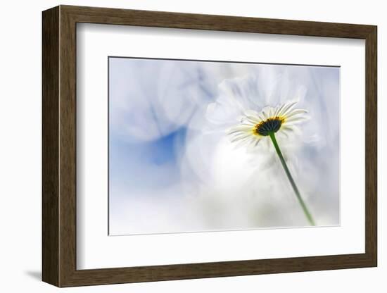 Daisy-Ursula Abresch-Framed Photographic Print