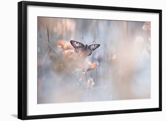 Dakinis Are Watching Over Us-Fabien Bravin-Framed Giclee Print