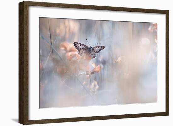 Dakinis Are Watching Over Us-Fabien Bravin-Framed Giclee Print