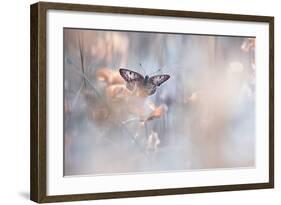 Dakinis Are Watching Over Us-Fabien Bravin-Framed Giclee Print