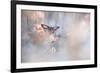 Dakinis Are Watching Over Us-Fabien Bravin-Framed Giclee Print