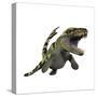 Dakosaurus, White Background-null-Stretched Canvas