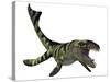 Dakosaurus, White Background-Stocktrek Images-Stretched Canvas