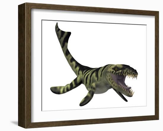Dakosaurus, White Background-Stocktrek Images-Framed Art Print