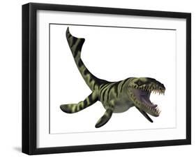 Dakosaurus, White Background-Stocktrek Images-Framed Art Print