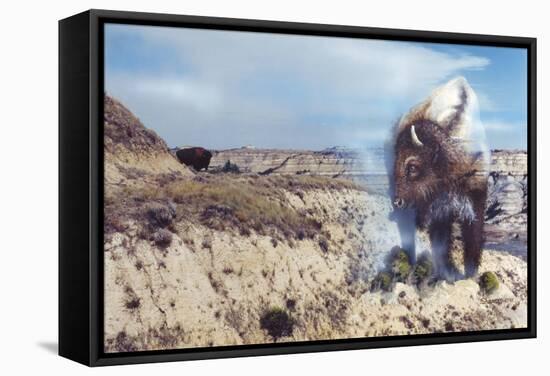 Dakota Domain-Gordon Semmens-Framed Stretched Canvas