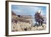 Dakota Domain-Gordon Semmens-Framed Giclee Print