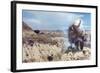 Dakota Domain-Gordon Semmens-Framed Giclee Print