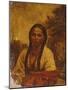 Dakota Indian Woman-William W. Armstrong-Mounted Giclee Print