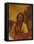 Dakota Indian Woman-William W. Armstrong-Framed Stretched Canvas
