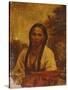 Dakota Indian Woman-William W. Armstrong-Stretched Canvas