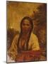 Dakota Indian Woman-William W. Armstrong-Mounted Giclee Print