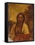 Dakota Indian Woman-William W. Armstrong-Framed Stretched Canvas