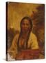 Dakota Indian Woman-William W. Armstrong-Stretched Canvas