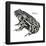 Dakota Toad (Bufo Hemiophrys), Amphibians-Encyclopaedia Britannica-Framed Poster