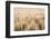 Dakota Wheat Fields-Nathan Larson-Framed Photographic Print