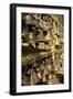 Dakshinkali Shrine, Kathmandu Valley, Nepal, Asia-Ben Pipe-Framed Photographic Print