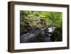 Dala River Flowing Through Wood with Fallen Trees across the River, Götene,-Falklind-Framed Photographic Print