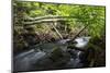 Dala River Flowing Through Wood with Fallen Trees across the River, Götene,-Falklind-Mounted Photographic Print