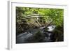 Dala River Flowing Through Wood with Fallen Trees across the River, Götene,-Falklind-Framed Photographic Print