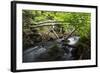 Dala River Flowing Through Wood with Fallen Trees across the River, Götene,-Falklind-Framed Photographic Print