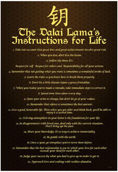 Dalai Lama (Instructions For Life) Art Poster Print-null-Lamina Framed Poster