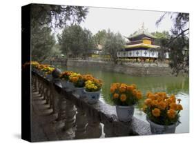 Dalai Lama's Former Summer Palace, Lhasa, Tibet, China-Ethel Davies-Stretched Canvas