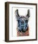 Dalai Llama-Melissa Symons-Framed Art Print