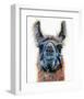 Dalai Llama-Melissa Symons-Framed Art Print