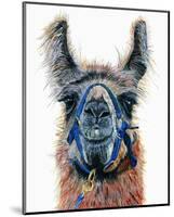 Dalai Llama-Melissa Symons-Mounted Art Print