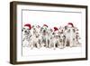 Dalamatian Dogs with Christmas Hats-null-Framed Photographic Print