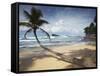 Dalawela Beach, Southern Province, Sri Lanka, Asia-Ian Trower-Framed Stretched Canvas