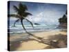 Dalawela Beach, Southern Province, Sri Lanka, Asia-Ian Trower-Stretched Canvas