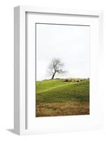 Dales Way II-Laura Marshall-Framed Photographic Print