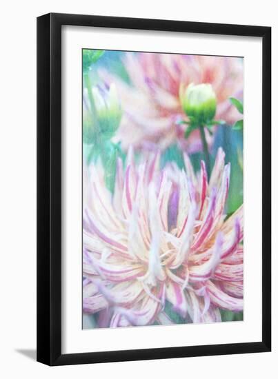 dalhia-Viviane Fedieu Danielle-Framed Photographic Print