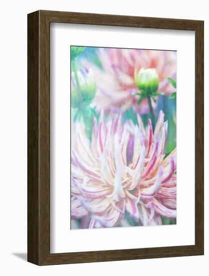 dalhia-Viviane Fedieu Danielle-Framed Photographic Print