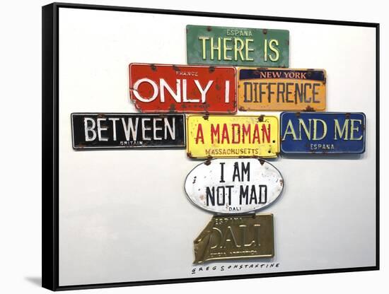 Dali Not Mad-Gregory Constantine-Framed Stretched Canvas