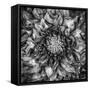 Dalia Full-Moises Levy-Framed Stretched Canvas