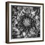 Dalia Full-Moises Levy-Framed Photographic Print