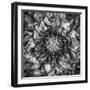 Dalia Full-Moises Levy-Framed Photographic Print