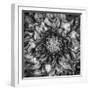 Dalia Full-Moises Levy-Framed Photographic Print